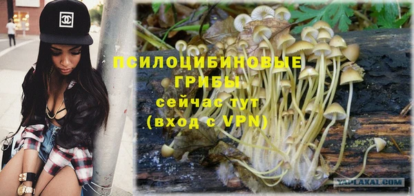 тгк Заволжск
