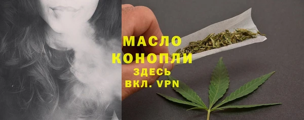 твердый Ельня