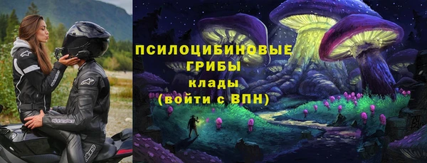PSILOCYBIN Заволжье
