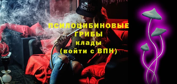 2c-b Заводоуковск
