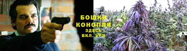 тгк Заволжск