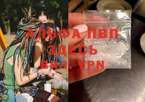 PSILOCYBIN Заволжье