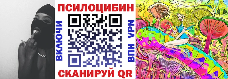 магазин    Топки  сайты даркнета состав  Галлюциногенные грибы Cubensis 