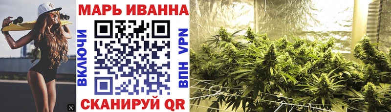 Канабис сатива Топки